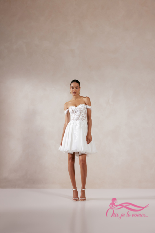 Robe de mariée Dentelle, Tulle, Aria